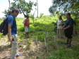 agroforestry project 24