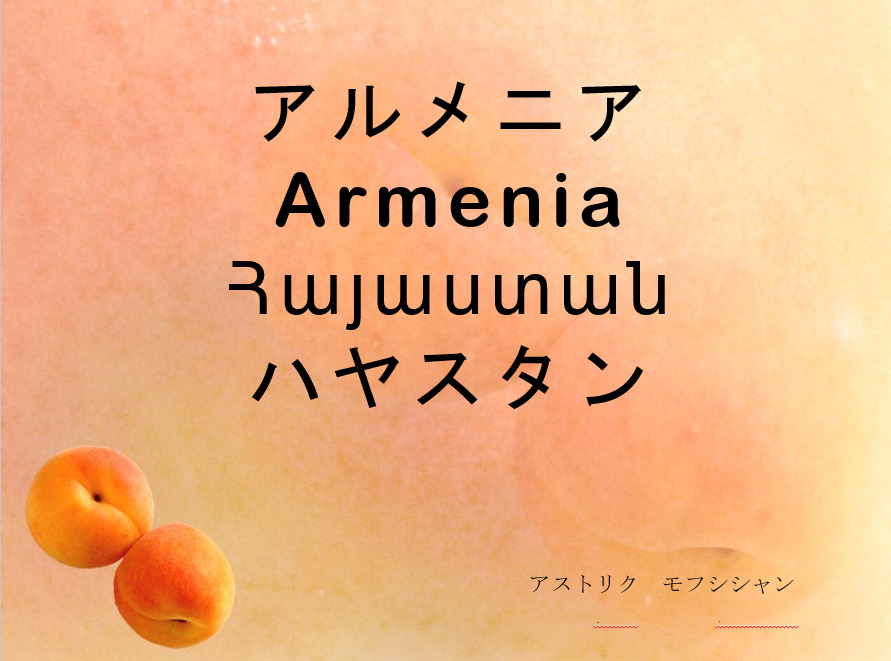 Armenia seminar