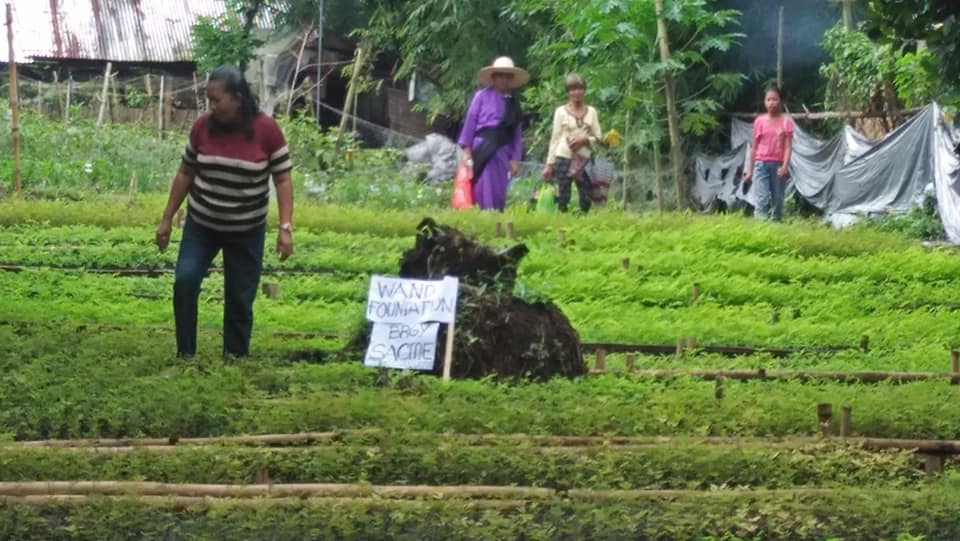Seedling nursery and demonstration farm developed through the Toyota Environmental Activities Grant project