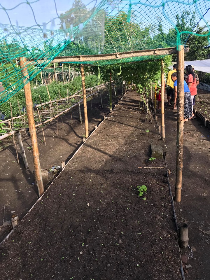 Greenhouse and demonstration farm developed through the Toyota Environmental Activities Grant project