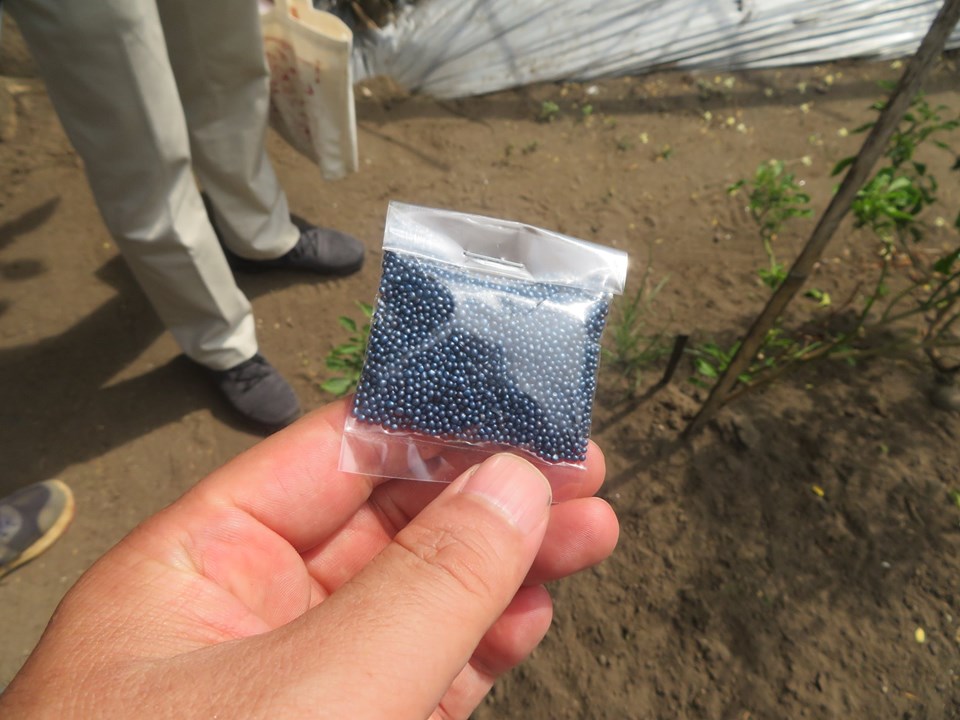 トヨタ環境助成プロジェクトで農家へ配布された種子と植栽資材