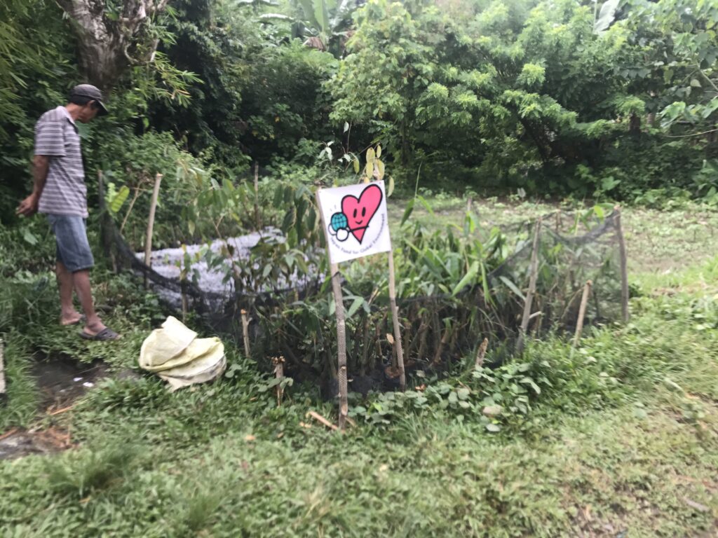 苗木圃場と植栽準備の様子