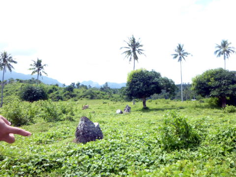 Rural farming area in Tanauan, Leyte, where the agroforestry project was implemented