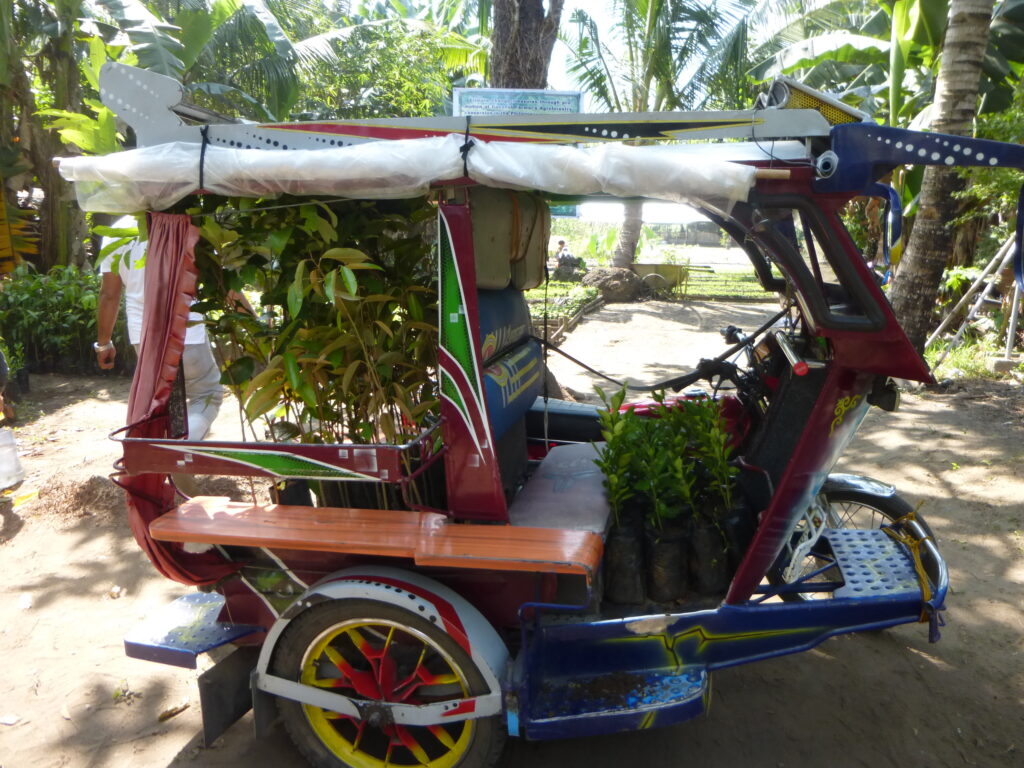 Seedlings and materials transported for agroforestry activities during the final project stage
