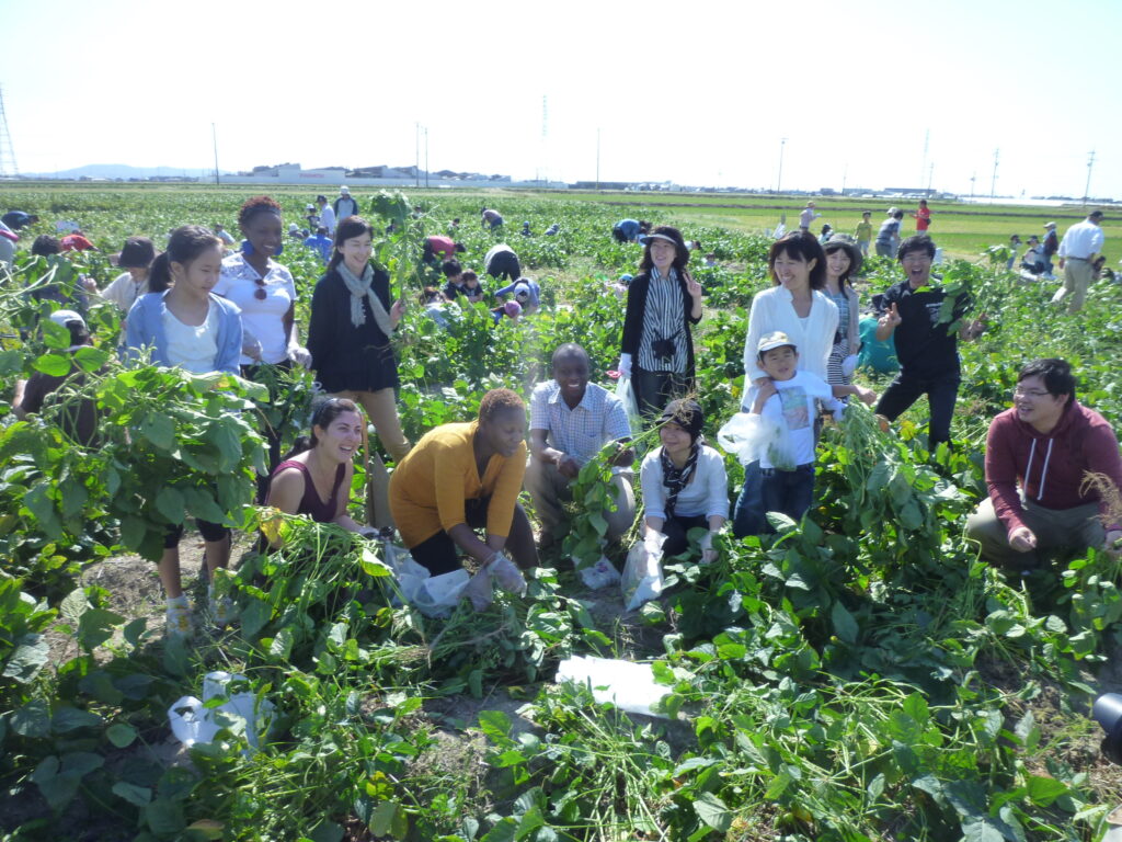 Soybean harvesting and food education exchange by children