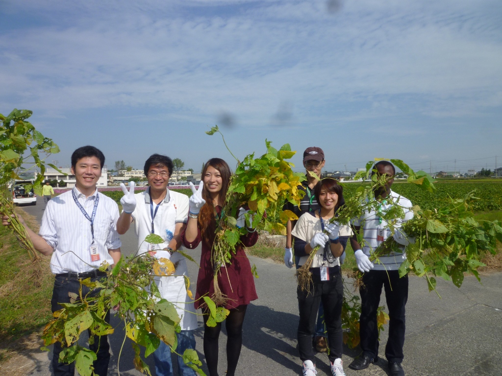 Edamame harvesting activity in Daizu Kids Africa