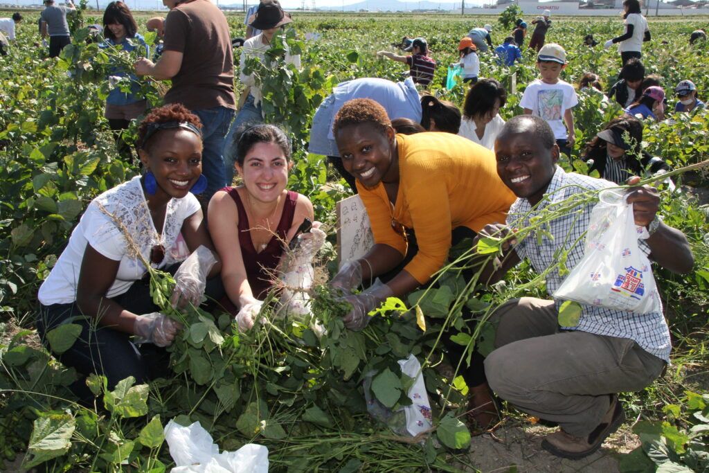 Edamame harvesting experience in Daizu Kids Africa