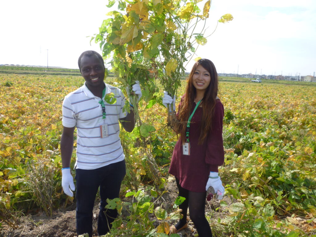 Soybean harvesting activity in Daizu Kids Africa