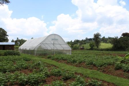 Japanese internship in Kenya and human resource development for international cooperation