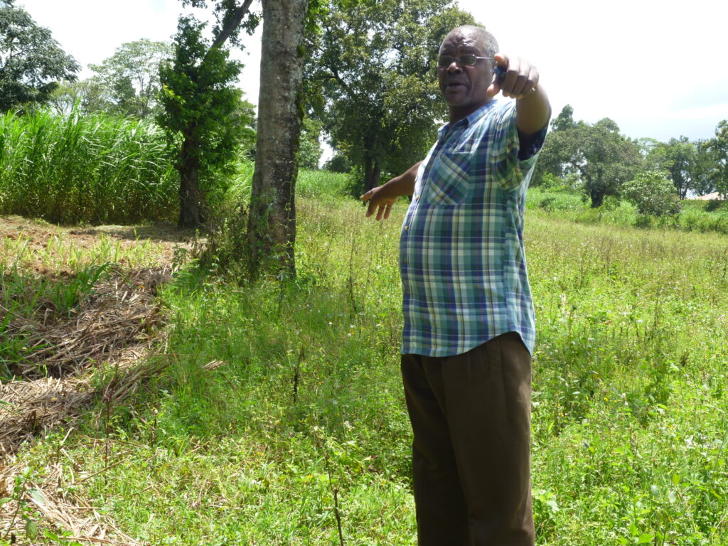 Record of tomato cultivation and agricultural support activities in Kenya